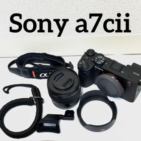 Sony a7cii