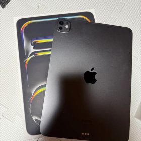 かるあ様専用 11インチiPad Pro M4 Wi-Fiモデル256GB