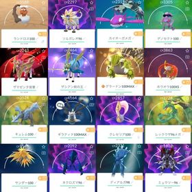 🔸レア垢TL73伝説個体100:12体!色違いグラードン100!コイン73209枚!伝説幻1987 | ポケモンGOのアカウントデータ、RMTの販売・買取一覧