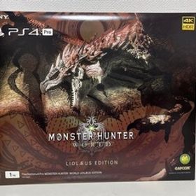 美品 PS4 Pro 本体 セット リオレウスエディション SONY PlayStation4 動作確認済 モンスターハンターワールド 中箱、説明書有り