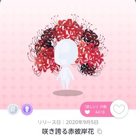 咲き誇る赤彼岸花 双子分 | ポケコロツイン(ポケツイ)のアカウントデータ、RMTの販売・買取一覧