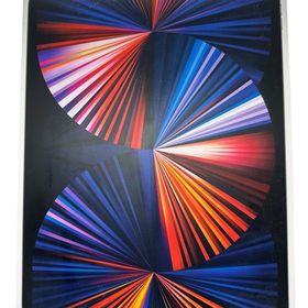 iPad Pro 12.9インチ（第5世代） Wi-Fi+Cellular 256GB ドコモ版