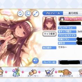 戦力3490万以上,ジュエル14万以上,騎士ランク463 | プリンセスコネクト(プリコネR)のアカウントデータ、RMTの販売・買取一覧