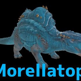 RARE SUPPORT モレラトプス全3種 | ARK Survival Evolvedのアカウントデータ、RMTの販売・買取一覧