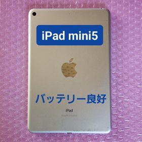 アイパッド(iPad)のiPad mini 第5世代 バッテリー良好 Wi-Fiモデル 64GB(タブレット)