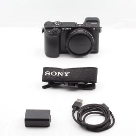 【良品】SONY ソニー ILCE-6000 ボディブラック