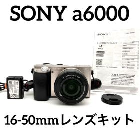 SONY a6000 ILCE-6000 シルバーボディ 16-50mmレンズ
