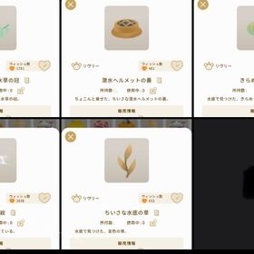 深き水底の神秘リヴリーアクセサリー5点 | リヴリーアイランドのアイテム、RMTの販売・買取一覧