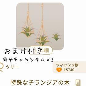 【おまけ付き】特殊なチランジアの木 | リヴリーアイランドのアイテム、RMTの販売・買取一覧