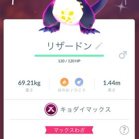 TL31キョダイマックス多数 色違いリザードン所持 | ポケモンGOのアカウントデータ、RMTの販売・買取一覧