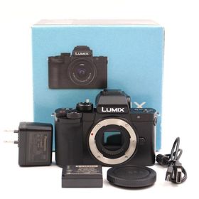 シャッター数324枚 PANASONIC LUMIX DC-G100 ボディ ミラーレス一眼カメラ パナソニック