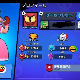 引退垢 ブロスタ