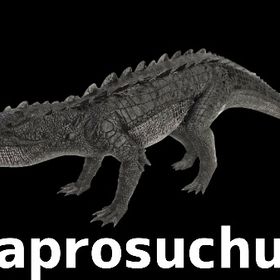 RARE SUPPORT カプロスクス全6種 | ARK Survival Evolvedのアカウントデータ、RMTの販売・買取一覧