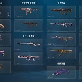 VALO引退アカウント | VALORANT(ヴァロラント)のアカウントデータ、RMTの販売・買取一覧