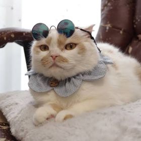 アー様 専用 同行 | VALORANT(ヴァロラント)の代行、RMTの販売・買取一覧