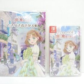 未開封 Nintendo Switch マジカルクラフト 猫と魔法のドレス ゲームソフト △WE2553