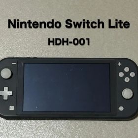 Nintendo Switch Lite HDH-001（ジャンク）