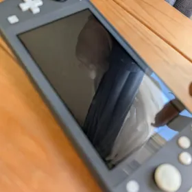 Nintendo Switch Lite 本体 新品¥12,900 中古¥7,600 | 新品・中古の