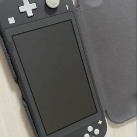 Nintendo Switch Lite グレー 本体 カバー付き 充電器あり