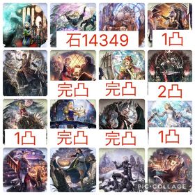 【初期 ルビー14349】星6×10 4体完凸 | オクトラ(オクトパストラベラー)のアカウントデータ、RMTの販売・買取一覧