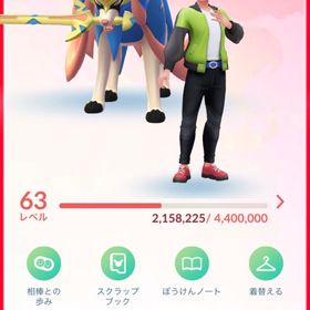 TL63 伝説123体 色違い117体 レイドパス41枚 引退垢 | ポケモンGOのアカウントデータ、RMTの販売・買取一覧