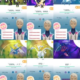 TL70 ジガルデ・パーフェクト・フォルム100%、日食ネクロズマ100% | ポケモンGOのアカウントデータ、RMTの販売・買取一覧