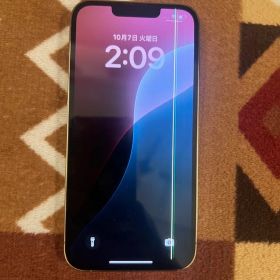 【液晶漏れ】iPhone 13 Pro 256GB シルバー SIMフリー