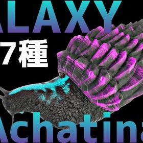 RARE SUPPORT アフリカマイマイ全7種11/15更新 | ARK Survival Evolvedのアカウントデータ、RMTの販売・買取一覧