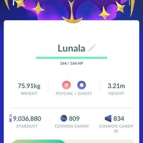 rakonnさん専用 | ポケモンGOのアカウントデータ、RMTの販売・買取一覧