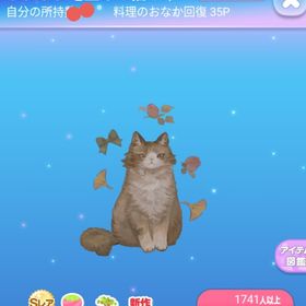 ～drops～ SR* ふわふわ毛並みの猫の木 | ポケコロのアイテム、RMTの販売・買取一覧