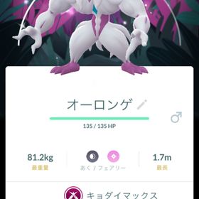 ヴラディスラフさま専用 | ポケモンGOのアカウントデータ、RMTの販売・買取一覧