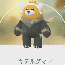 ミハウ様専用 | ポケモンGOのアカウントデータ、RMTの販売・買取一覧