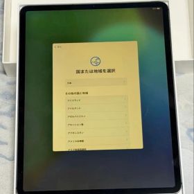 iPad Pro 12.9 第4世代 (2020発売) 中古 48,000円 | ネット最安値の