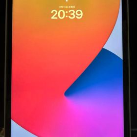 iPad pro 12.9 第5世代 128GB