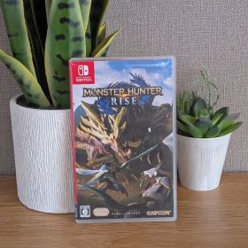 Switch モンスターハンター ライズ サンブレイク ゲーム ソフト 任天堂