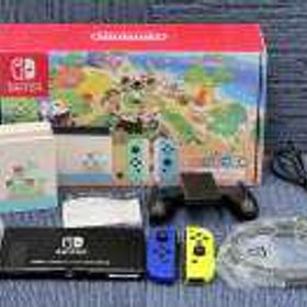 Switch あつまれどうぶつの森セット ※欠品等あります。HAD-S-KEAGC (HAC-001) NINTENDO