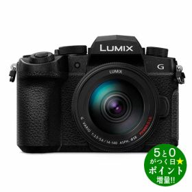 ◆最大7500円CP＋P3倍！！11/20BF限定◆パナソニック カメラ ミラーレス一眼カメラ レンズキット LUMIX DC-G99M2H ブラック Panasonic【転送不可】
