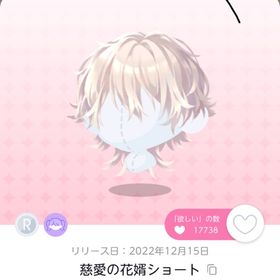 慈愛の花婿ショート | ポケコロツイン(ポケツイ)のアカウントデータ、RMTの販売・買取一覧