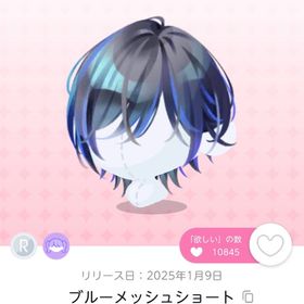 ブルーメッシュショート | ポケコロツイン(ポケツイ)のアカウントデータ、RMTの販売・買取一覧