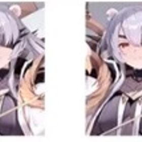 カリーペ2凸+ハル 初心者未使用 | カオゼロ(カオスゼロナイトメア)のアカウントデータ、RMTの販売・買取一覧