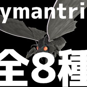 RARE SUPPORT リマントリア全8種11/17更新 | ARK Survival Evolvedのアカウントデータ、RMTの販売・買取一覧