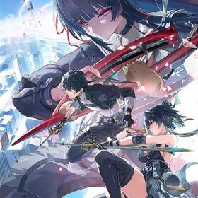 即时対応 | 鳴潮(Wuthering Waves)のアカウントデータ、RMTの販売・買取一覧