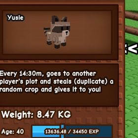 【庭を成長させる】raccoon1体！ | ロブロックス(ROBLOX)のアカウントデータ、RMTの販売・買取一覧