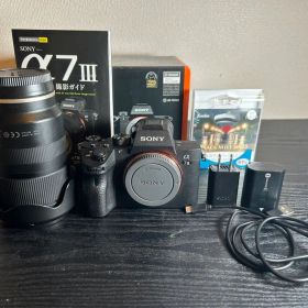 sony α7Ⅲ tamron 28-75mm F2.8 Di III RXD