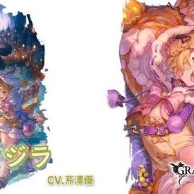 【個人船あり】光ヴァジラ/干支コンプ/金月500↑/全超越/最終賢者9↑/ダマヒヒ50↑ | グラブルのアカウントデータ、RMTの販売・買取一覧