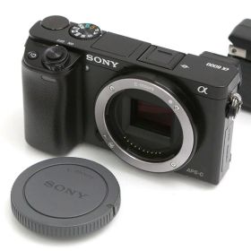【中古】【並品】ソニー α6000 ILCE-6000 [ブラック] (センサー清掃済み) CA01-B3543-2P1A SONY Eマウント APS-C EVF 中古