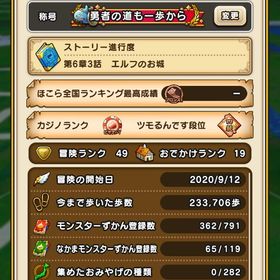 引退、古参、神喰らいの大剣×2、如意棒 | ドラクエウォークのアカウントデータ、RMTの販売・買取一覧