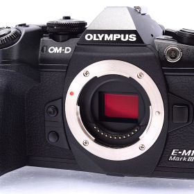 ■極上品■ OLYMPUS OM-D E-M1 MarkIII ボディ