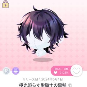 極光照らす聖騎士の黒髪 | ポケコロツイン(ポケツイ)のアイテム、RMTの販売・買取一覧