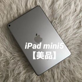 【完動品】iPad mini5 256GB 【すぐ発送】